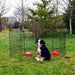 Lucky Dog® Rust Resistant Pet Fence Easy Travel