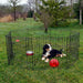 Lucky Dog® Rust Resistant Pet Fence Secure Pet