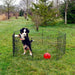 Lucky Dog® Rust Resistant Pet Fence Simple Set Up