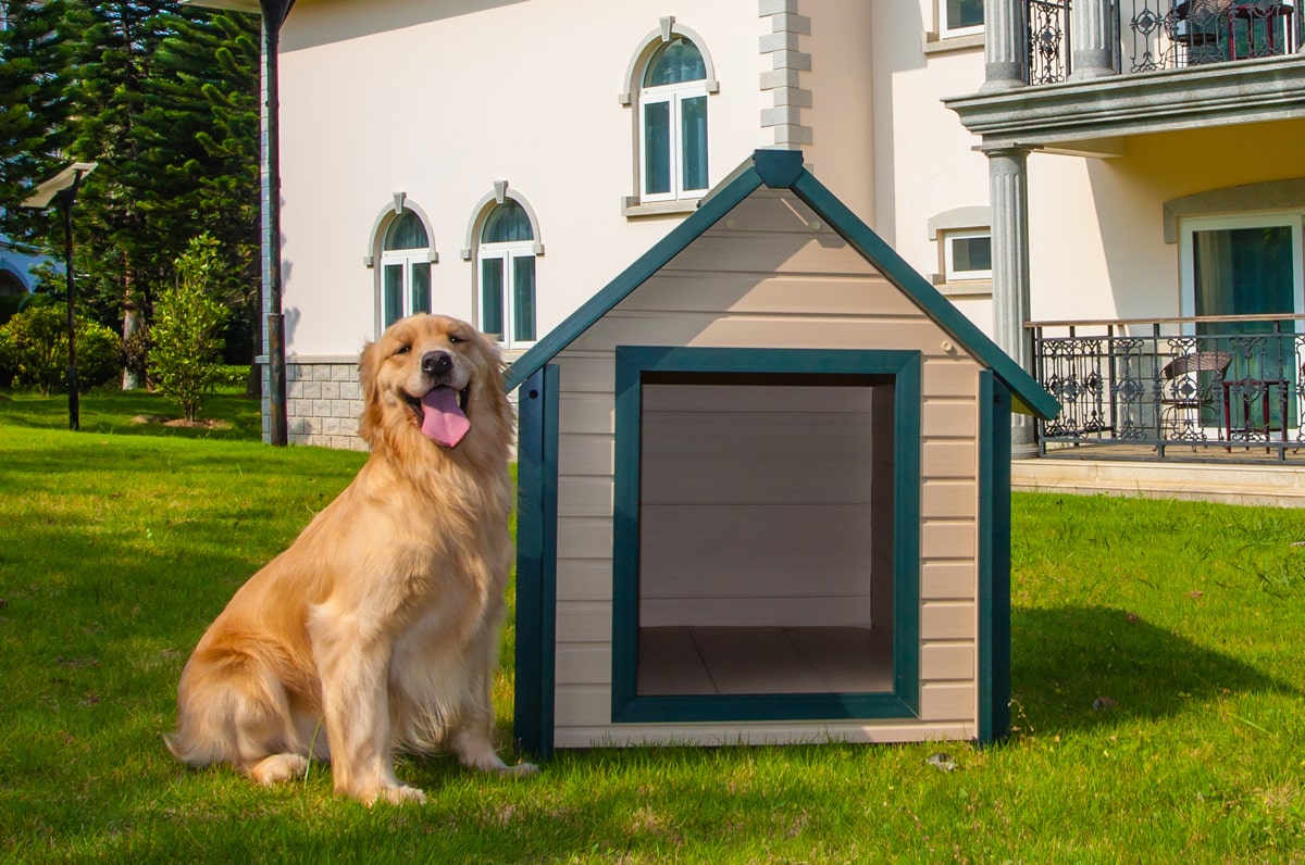 New Age Pet Bunkhouse Dog House Ecoflex Wood Lasting