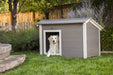 New Age Pet ThermoCore Super Insulated Dog House Ground Level View