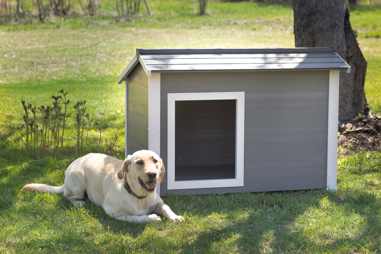 New Age Pet ThermoCore Super Insulated Dog House Protection Temperature Extremes