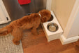 New  Age  Piedmont  Pet  Diner  Easy  Accesibility