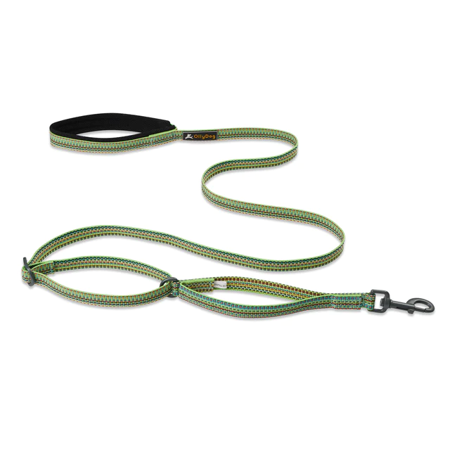 Olly Dog Adjustable Leash Flagstaff Rescue Prism Green