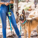 Olly Dog Adjustable Spring Leash Rescue Flagstaff Sky Bark Lightweight