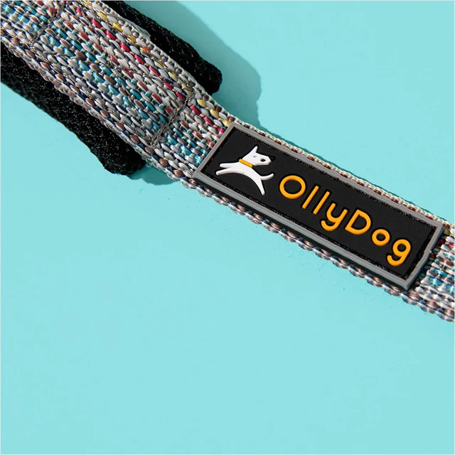 Olly Dog Adjustable Spring Leash Rescue Prism Durable With Poly Webbing 