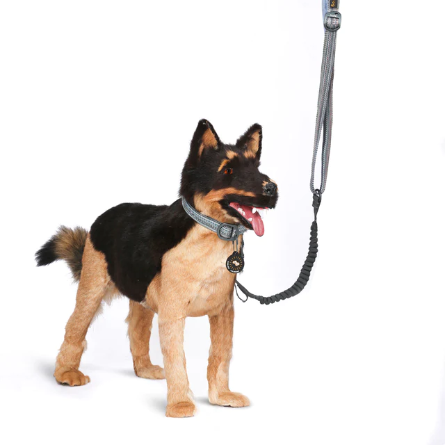 Olly Dog Adjustable Spring Leash Rescue Prism Lightweight