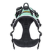 Olly Dog Alpine Reflective Harness Bermuda Back