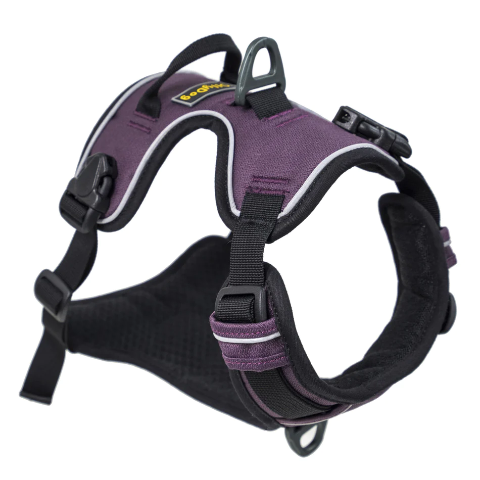 Guide To Choose And Put On Dog Harness – OllyDog