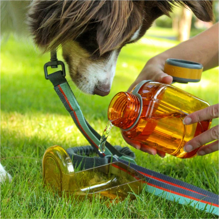 Olly Dog Detachable Olly Bottle Flame Bowl Attachment