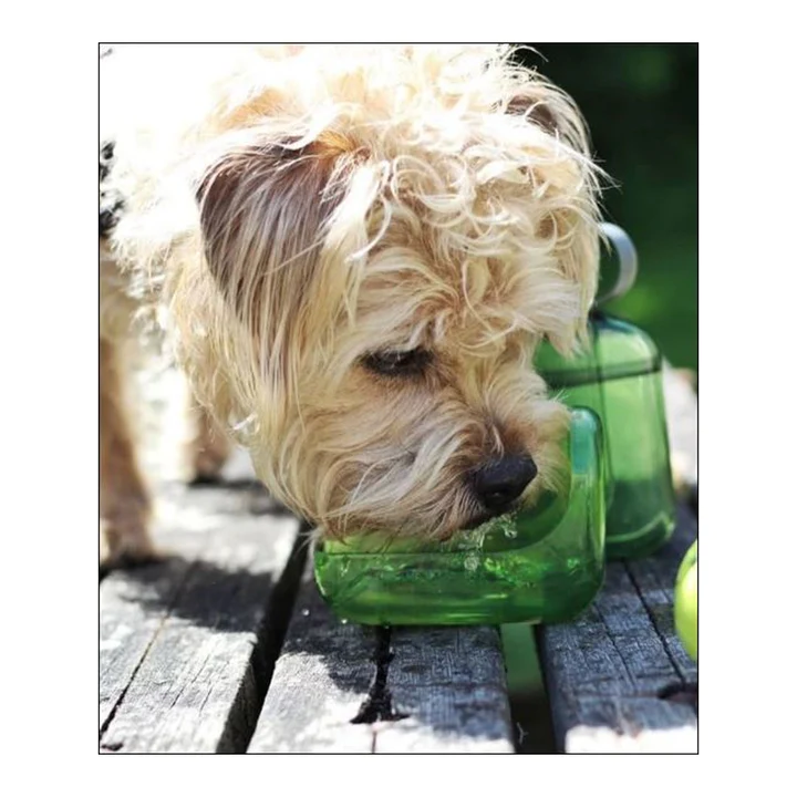 Olly Dog Detachable Olly Bottle Grass Bowl Attachment