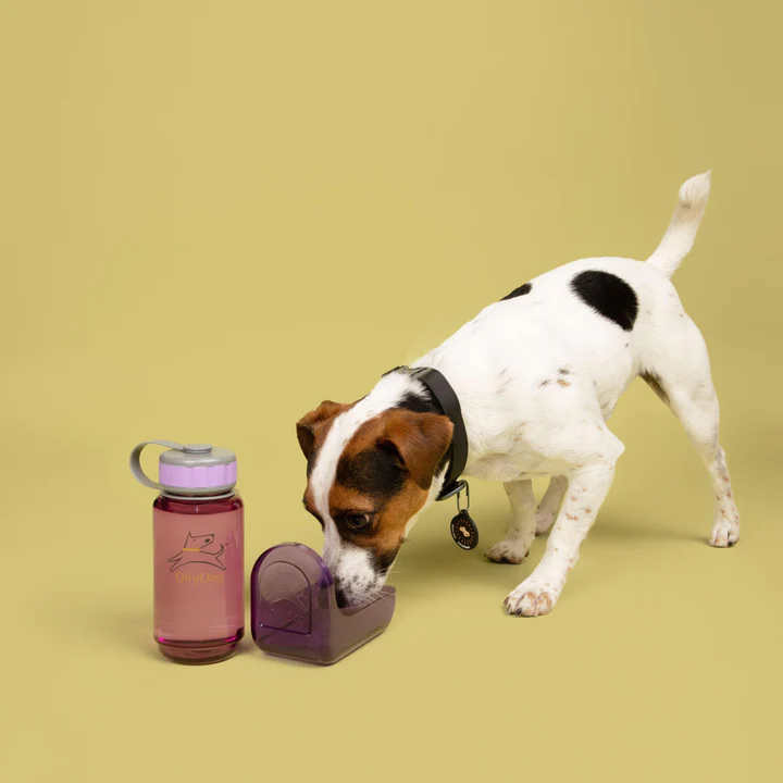 Olly Dog Detachable Olly Bottle Plum Bowl Attachment