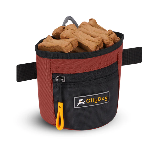 Olly Dog Goodie Treat Bag Crimson Eco Friendly Interior