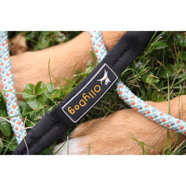 Olly Dog Mountain Leash Surf Kernmantle Rope