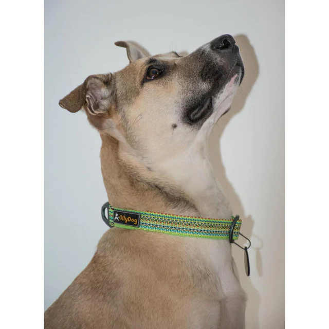 Olly Dog Rescue Collar Prism Green Lightweight