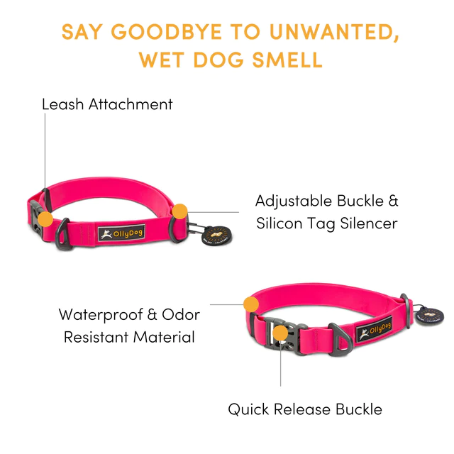 Olly Dog Tilden Waterproof Collar Pink Features