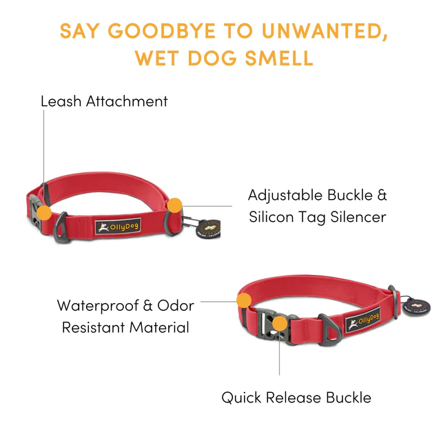 Olly Dog Tilden Waterproof Collar Red Features