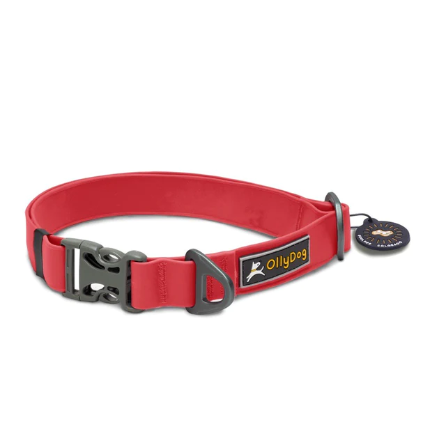 Olly Dog Tilden Waterproof Collar Red Silicone Tag Silencer