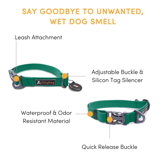 Olly Dog Tilden Waterproof Collar Teal Features