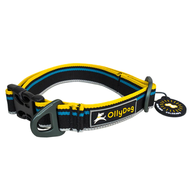 Olly Dog Urban Journey Reflective Collar Anthracite Aluminum D Ring 