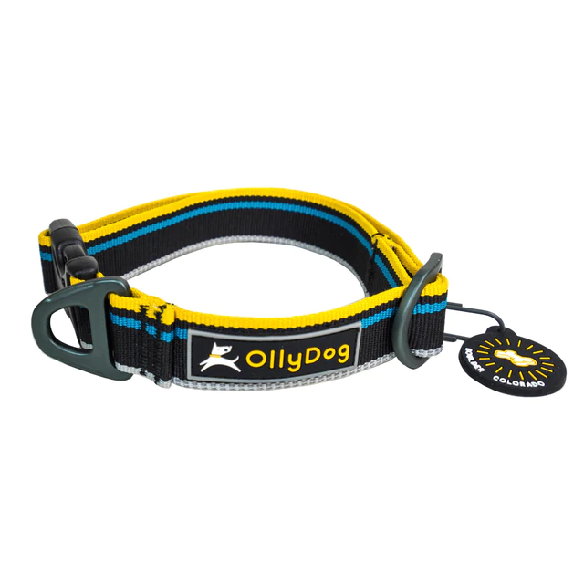 Olly Dog Urban Journey Reflective Collar Anthracite