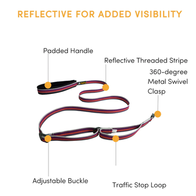 Olly-Dog-Urban-Journey-Reflective-Leash-Wild-Aster-Features