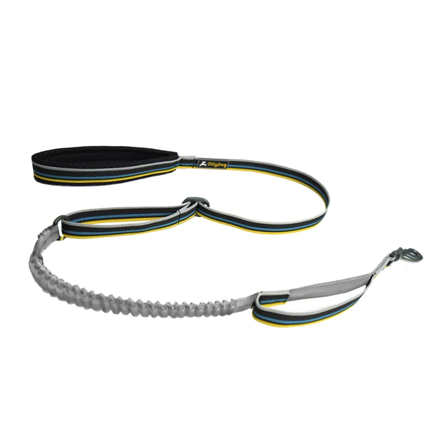 Olly-Dog-Urban-Journey-Reflective-Spring-Leash-Anthracite