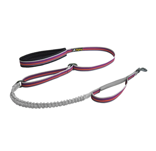 Olly-Dog-Urban-Journey-Reflective-Spring-Leash-Wild-Aster