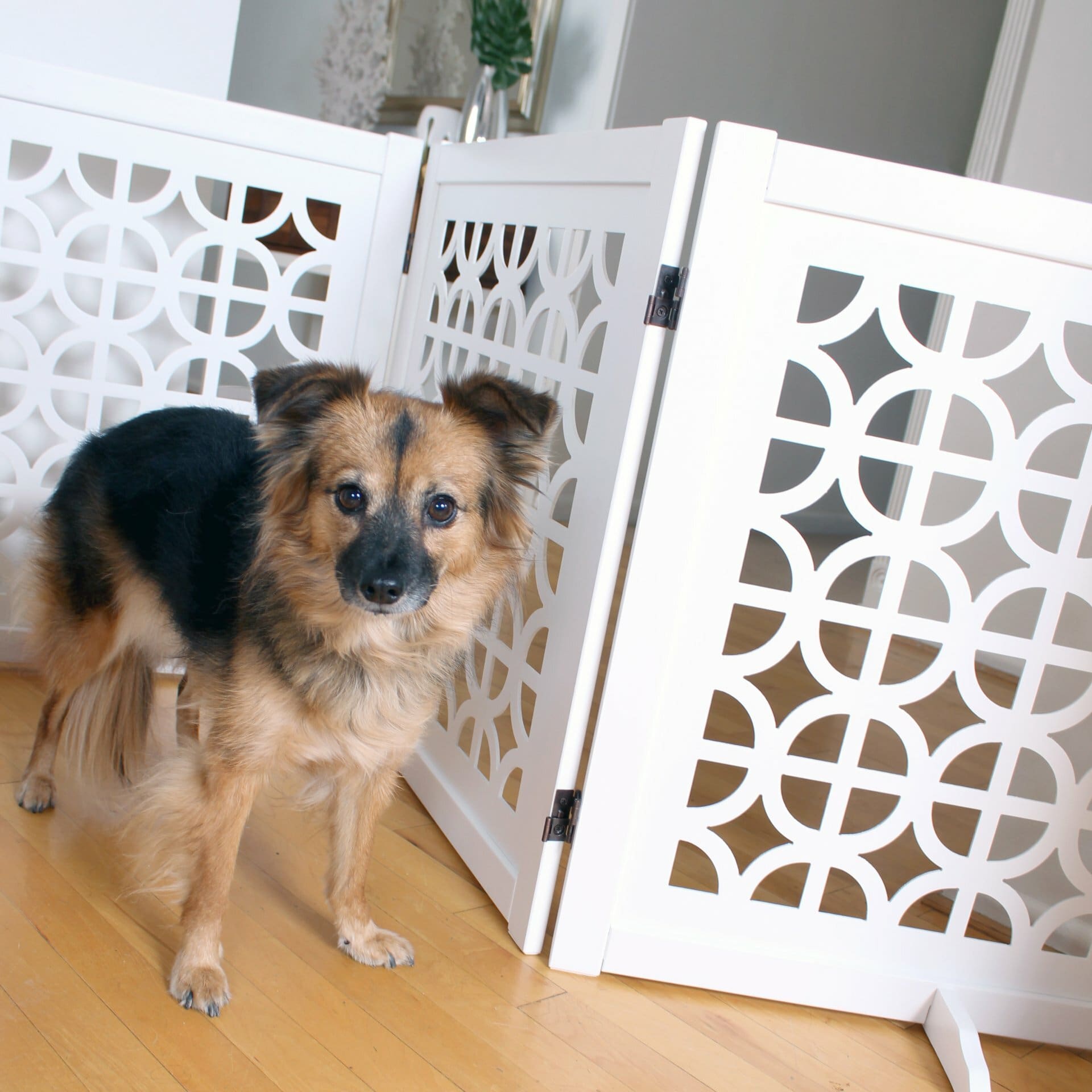 Primetime Petz Palm Springs Designer Dog Gate 27 Inches White Actual 1