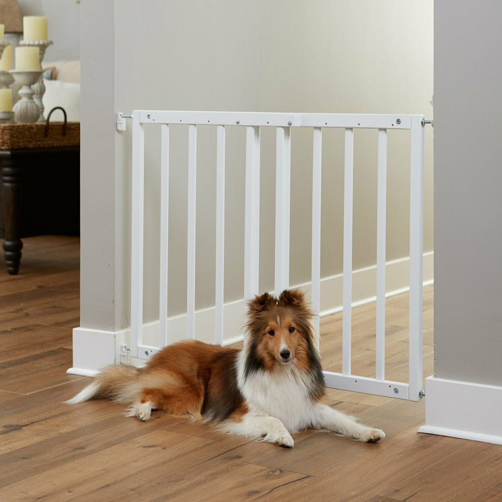 Primetime Petz Safety Mate Expandable Pet Gate White Actual