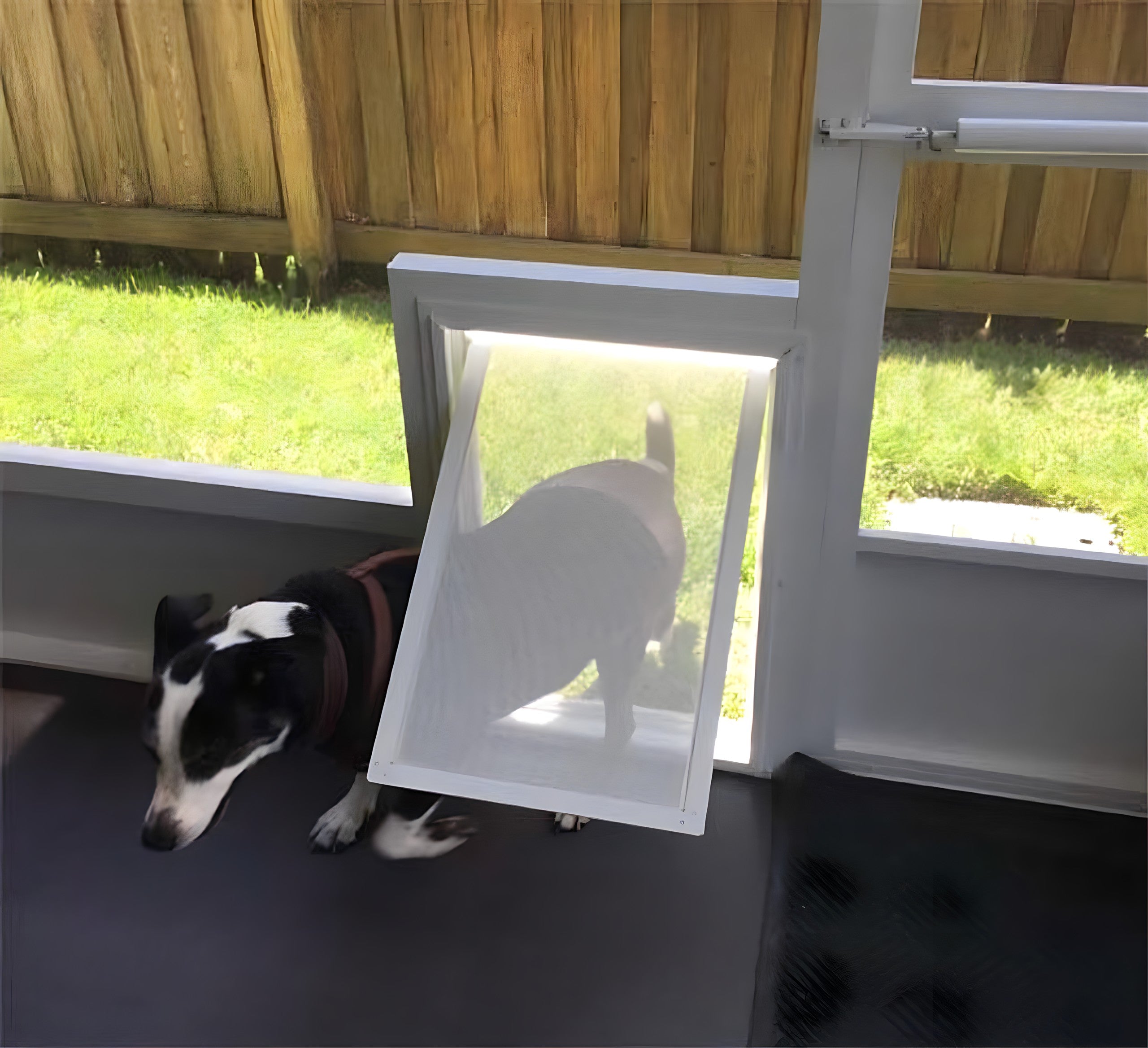 Security Boss SB4 Pet Screen Door Puppy Fever Pro