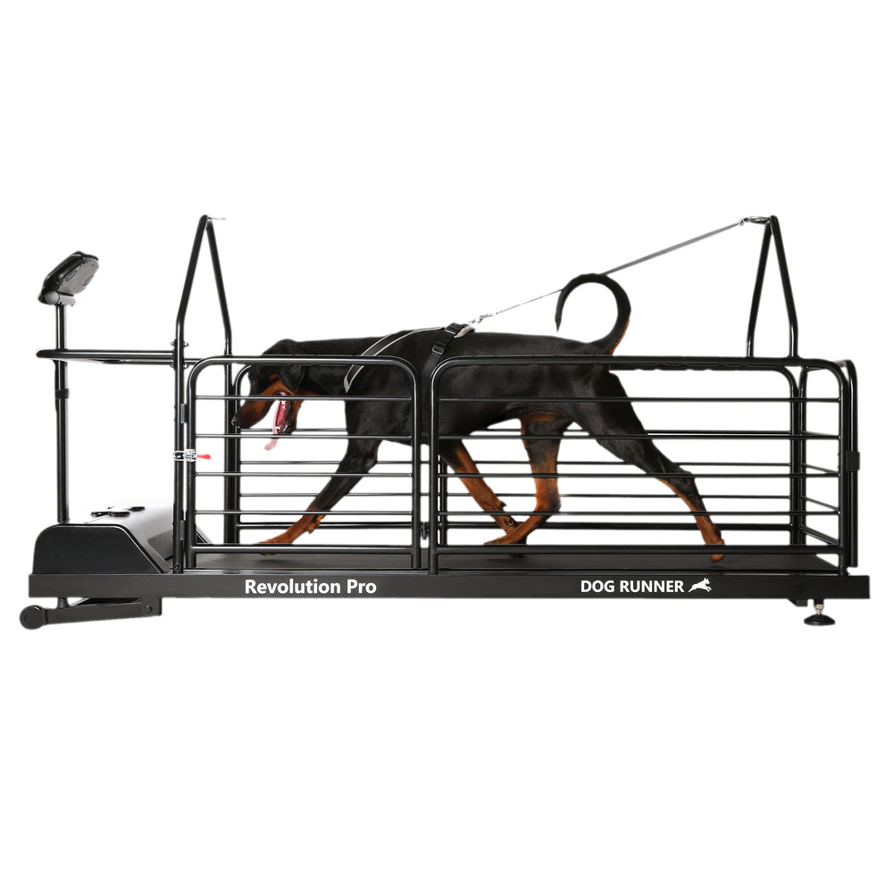 Dog Exercise Maximum Canine Runner Treadmill Revolution Pro - Puppy Fever Pro