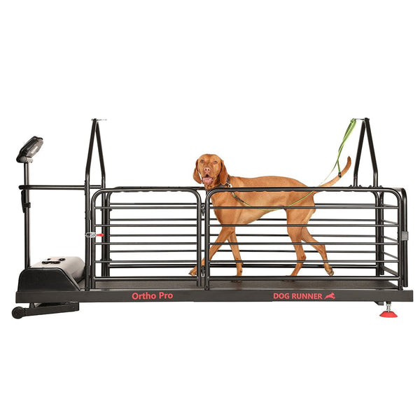 https://puppyfeverpro.com/cdn/shop/products/premium-maximum-canine-dog-runner-treadmill-885696_grande.jpg?v=1661769097